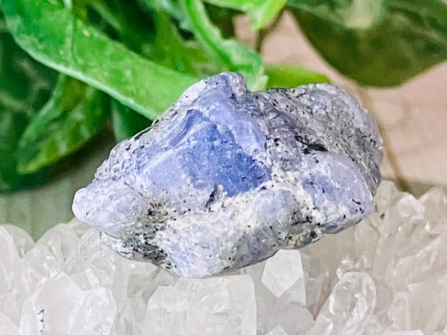 大人気 人形作家様 てらおなみ様 ビスクドール アンティーク検索ブライス