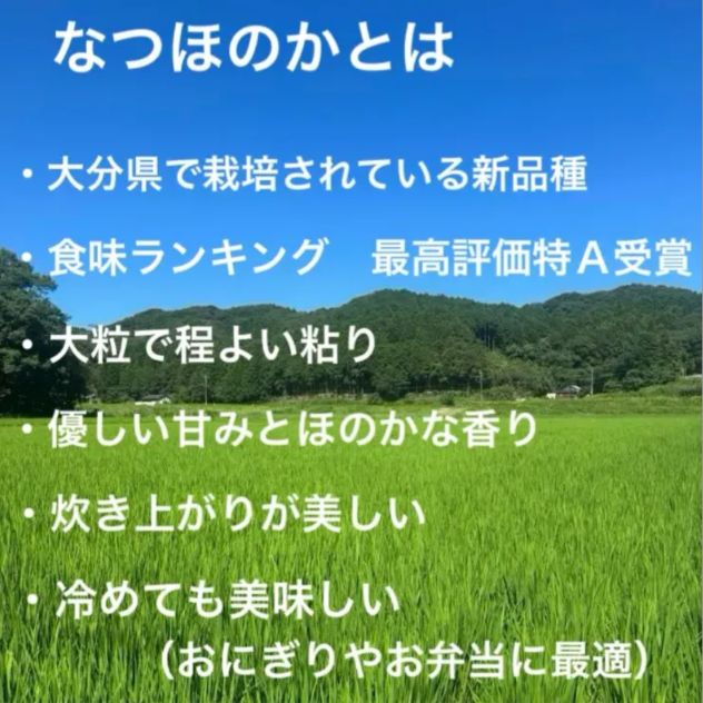 新米】大分県産 なつほのか 30kg 玄米 令和7年産 - メルカリ