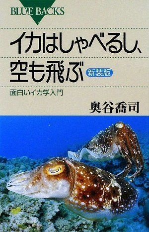 イカはしゃべるし、空も飛ぶ―面白いイカ学入門 〈新装版〉 (ブルーバックス)／奥谷 喬司