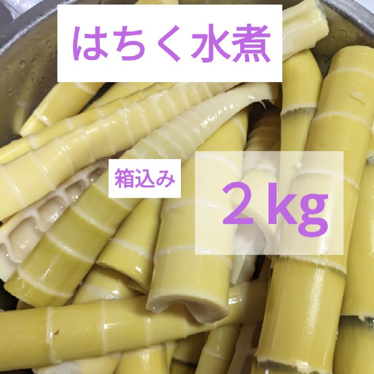 和歌山産 たけのこ水煮 破竹 はちく 箱込み 2㎏ クール便発送 - メルカリ