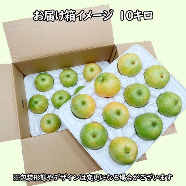 鳥取ブランド