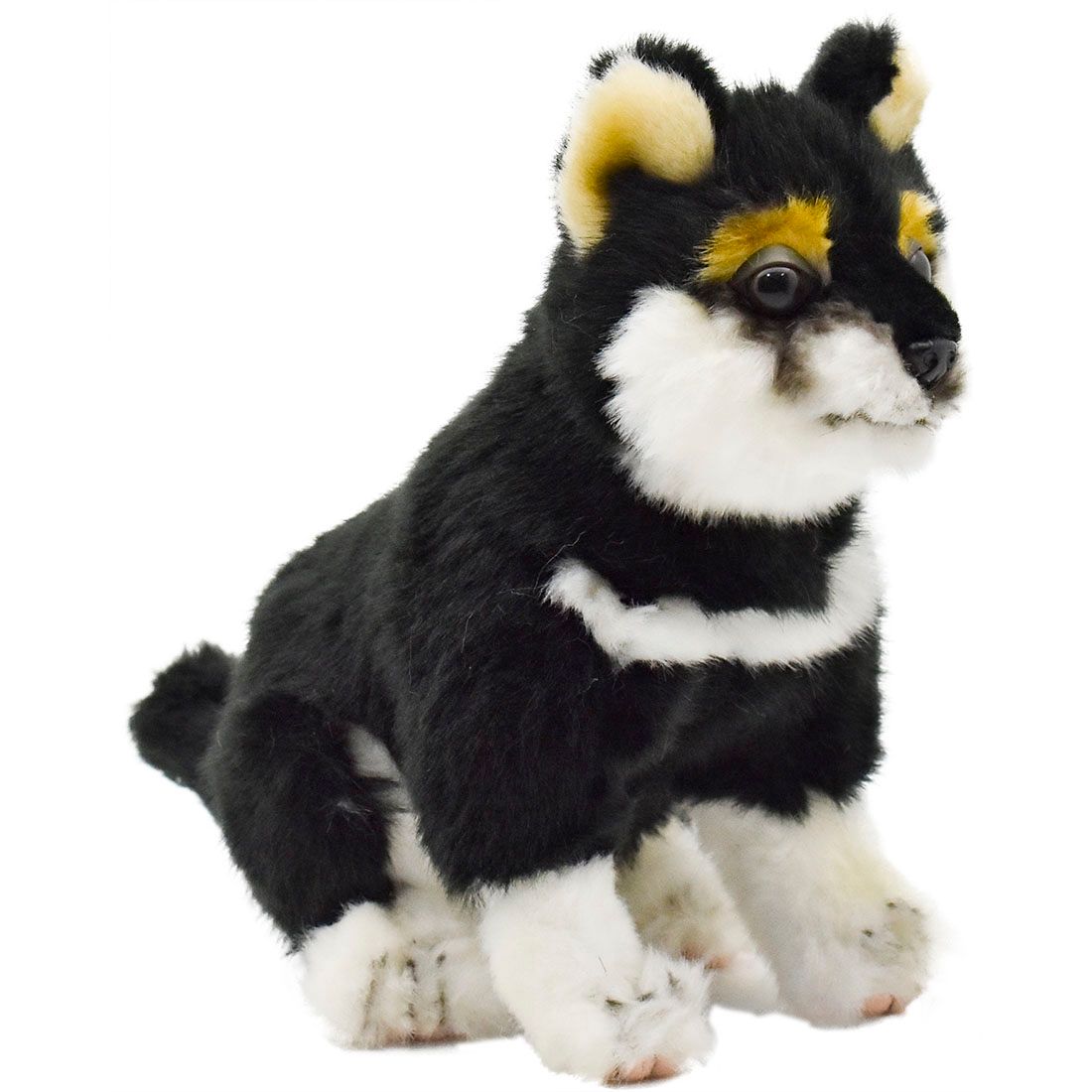 HANSA 黒柴 ぬいぐるみ リアル BH7242 黒柴 50 SHIBA Amazon.co.jp: HANSA ハンサ ぬいぐるみ 7242 黒柴 50 SHIBA DOG