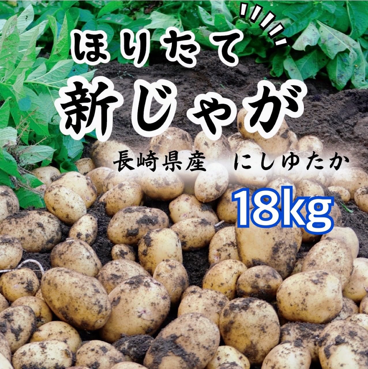 長崎県産 新じゃがいも 10キロ - 野菜