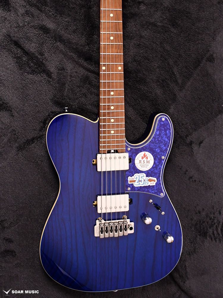 Bacchus バッカス エレキギター TACTICS24-ASH/RSM STB (BLUE PG