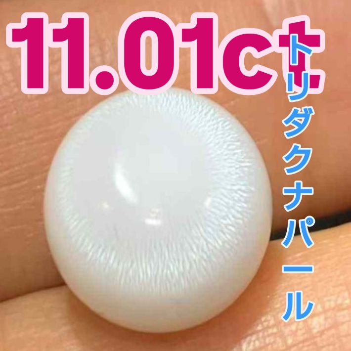 自然の奇跡──11.01カラットのトリダクナパール、シャコ真珠」「12mm