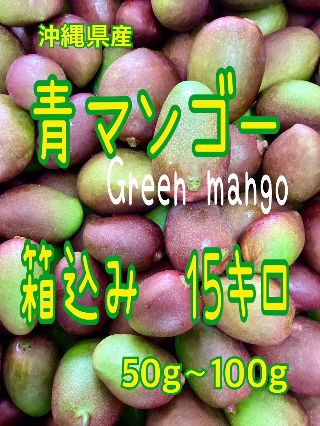 摘果マンゴー3/15② （沖縄産摘果マンゴー 15 120～235g｜果物）