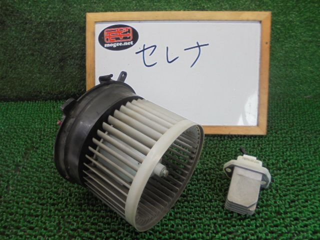 カラーローダーぴたスリジャスト青5p赤5p白3p緑5p