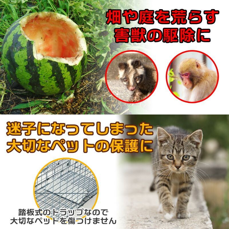 捕獲器 捕獲機 猫 24インチ モグラ 保護 害獣駆除 アニマル