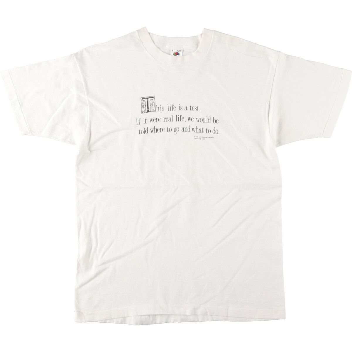 古着 90年代 フルーツオブザルーム FRUIT OF THE LOOM メッセージプリントTシャツ USA製 メンズL ヴィンテージ/eaa428699