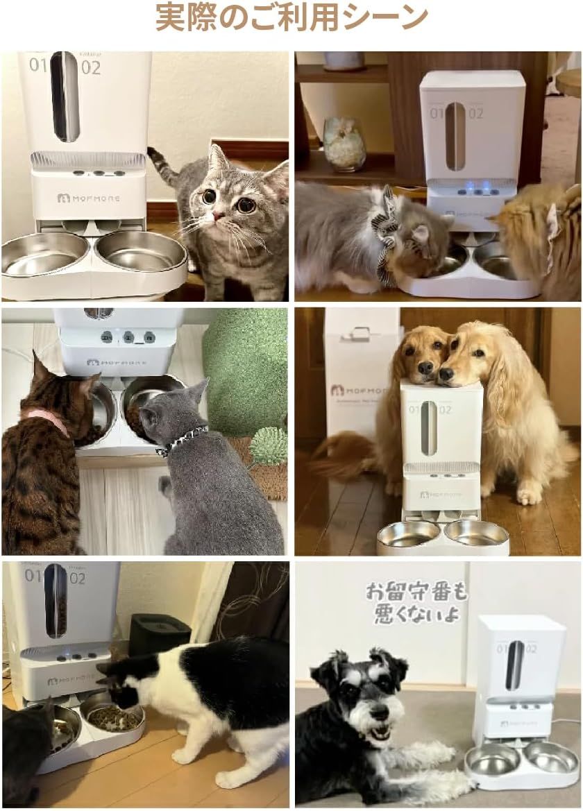 多頭飼い 餌
