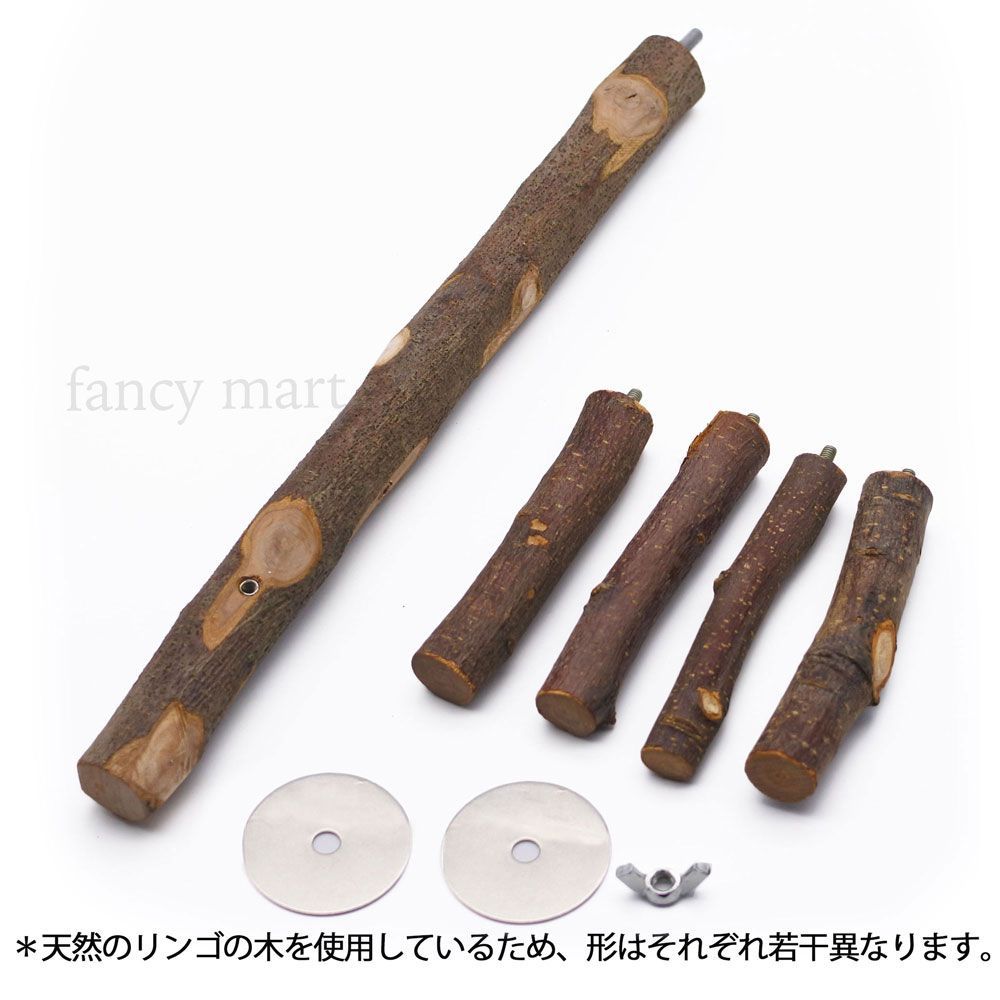 ✢ちょっと大きい立てて飾れるインコさん✢ Complete Edition] How old would he be if he were a human