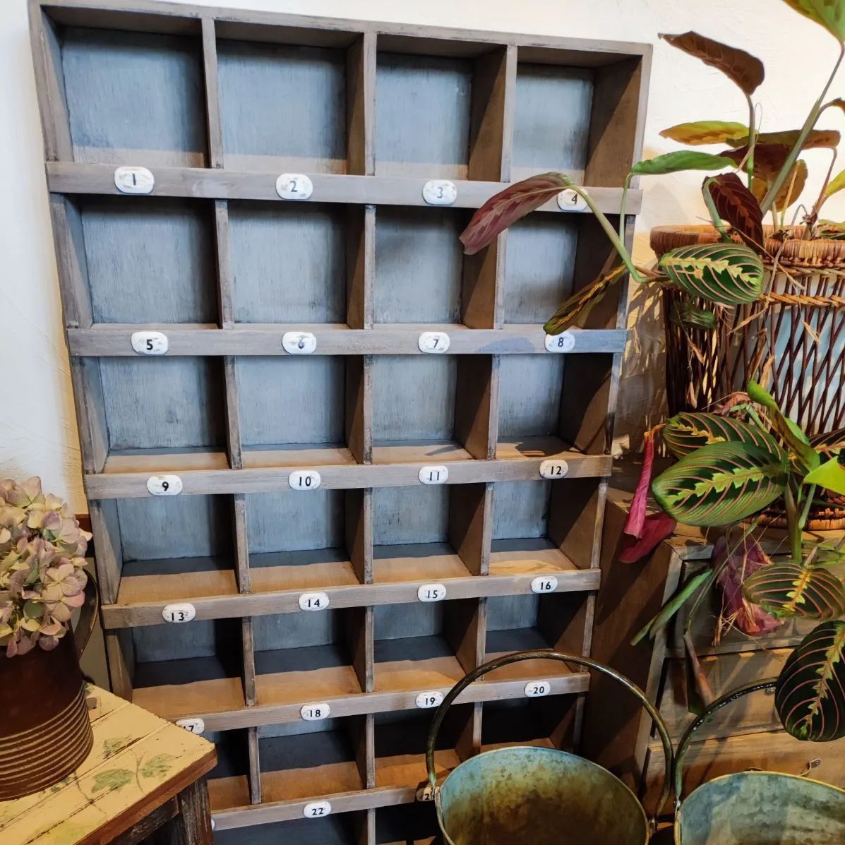 シャビーシック 木製コレクション棚 - メルカリ