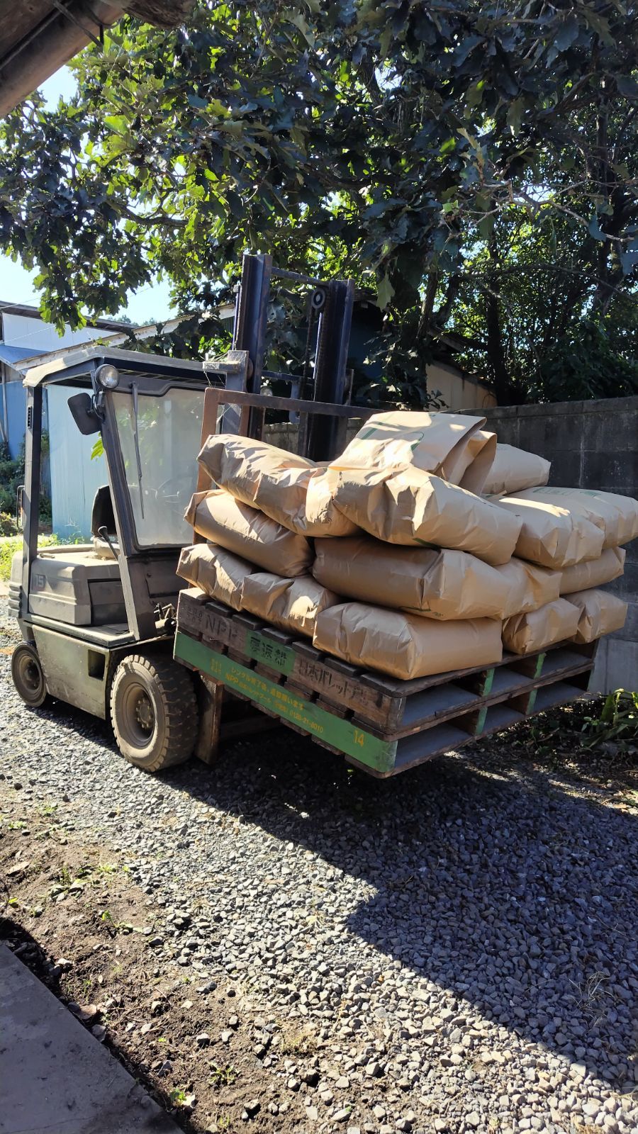 10キロ玄米