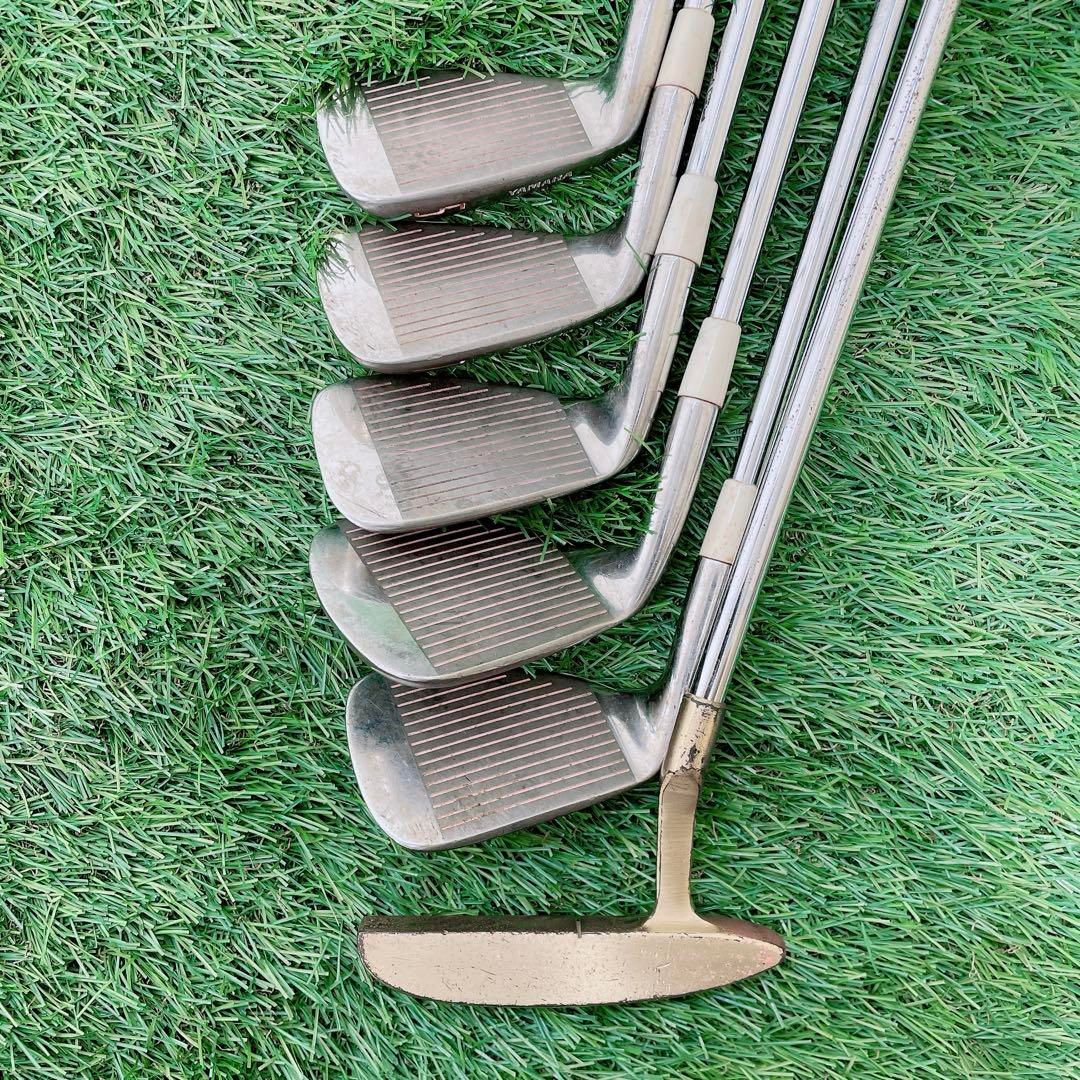 ゴルフクラブ　レディースセット　初心者　プロギア　Reverse NT978 ゴルフクラブ レディースセット 初心者 プロギア Reverse NT978