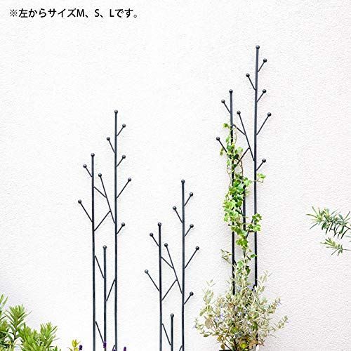 M 木立