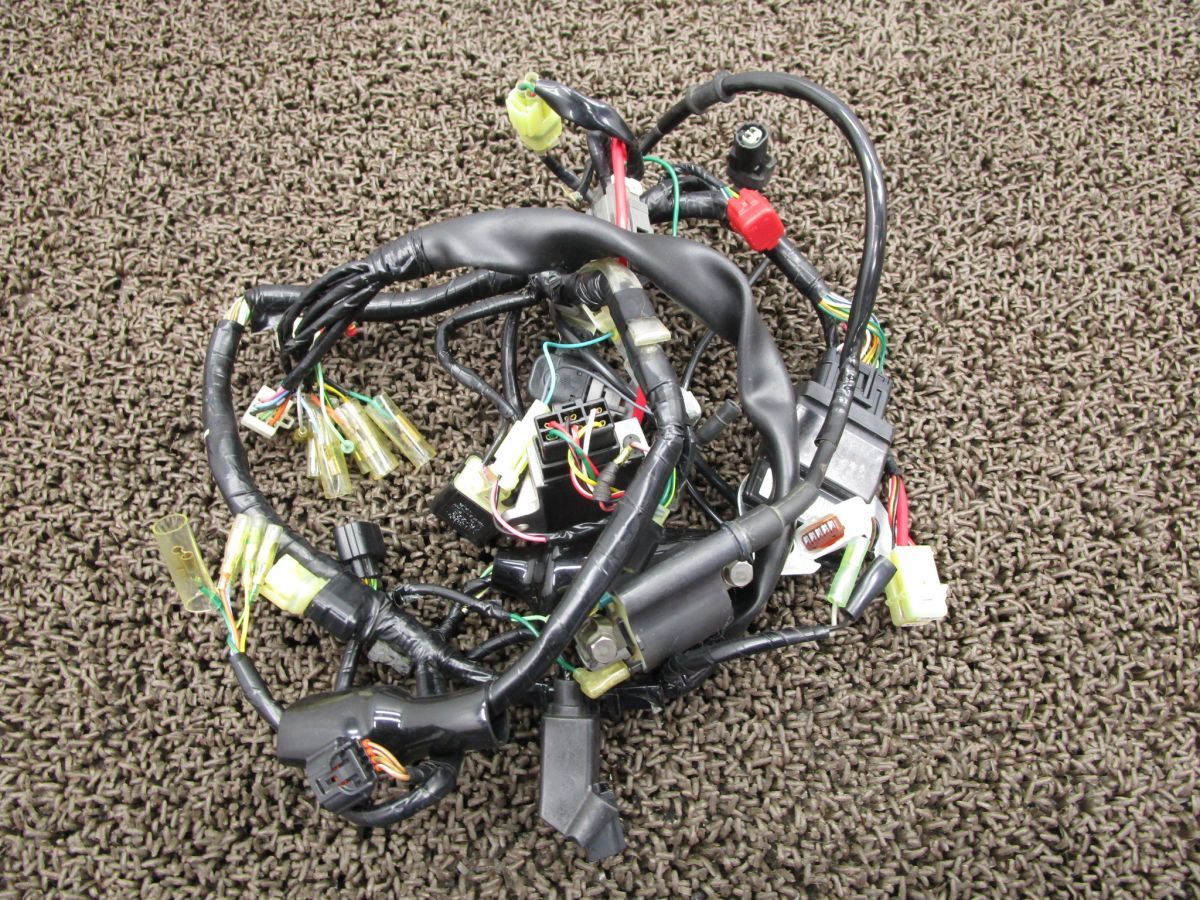 リトルカブ メインハーネス △V999 イグナイター レギュレター イグニッションコイル AA01 ホンダ AA02E 動画有 インジェクション 12V