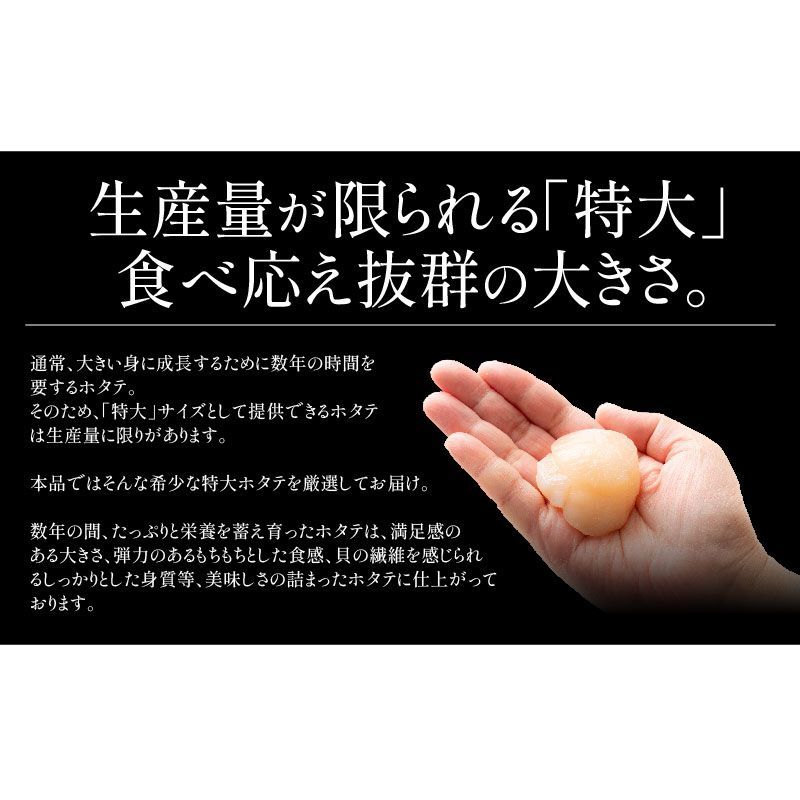 貝柱 1kg