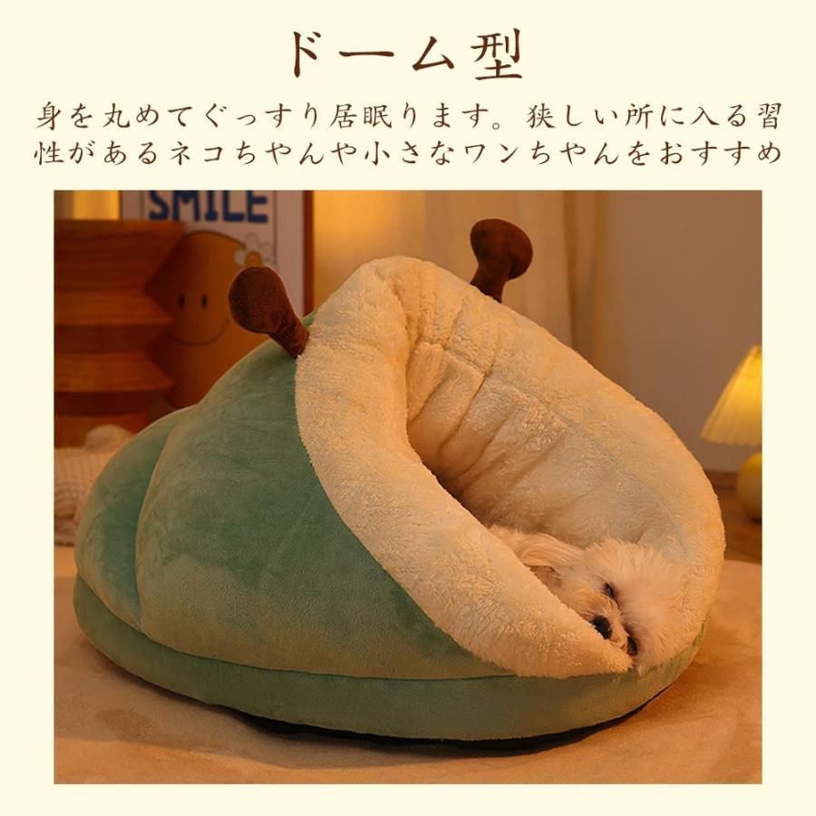 ドーム型 犬