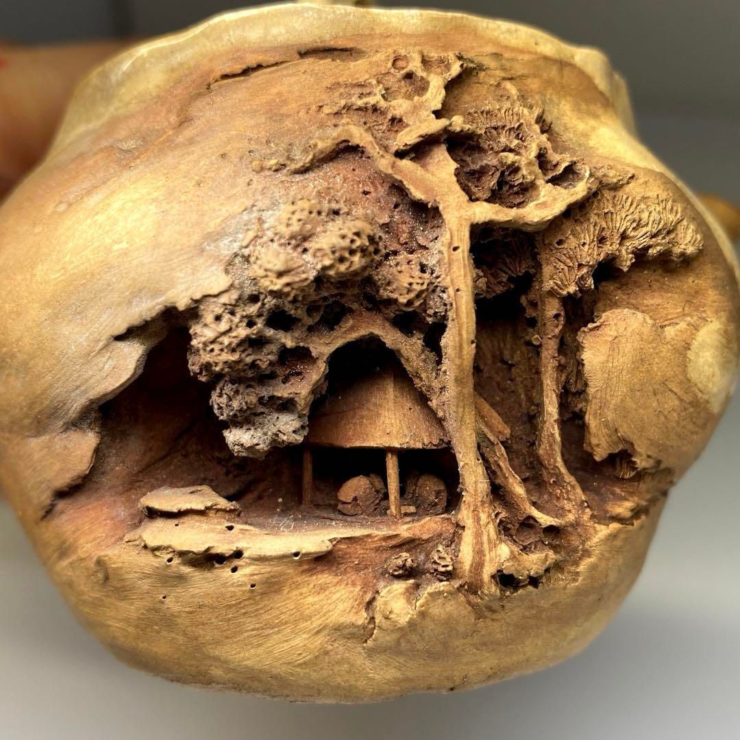 時代 二六焼 極上彫煎茶器セット 木箱付 東Y6-0813☆2Fチヒサコ - メルカリ