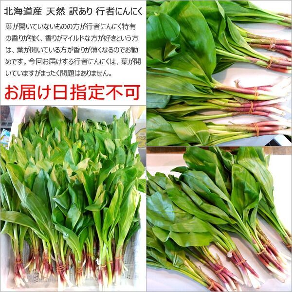 お家用