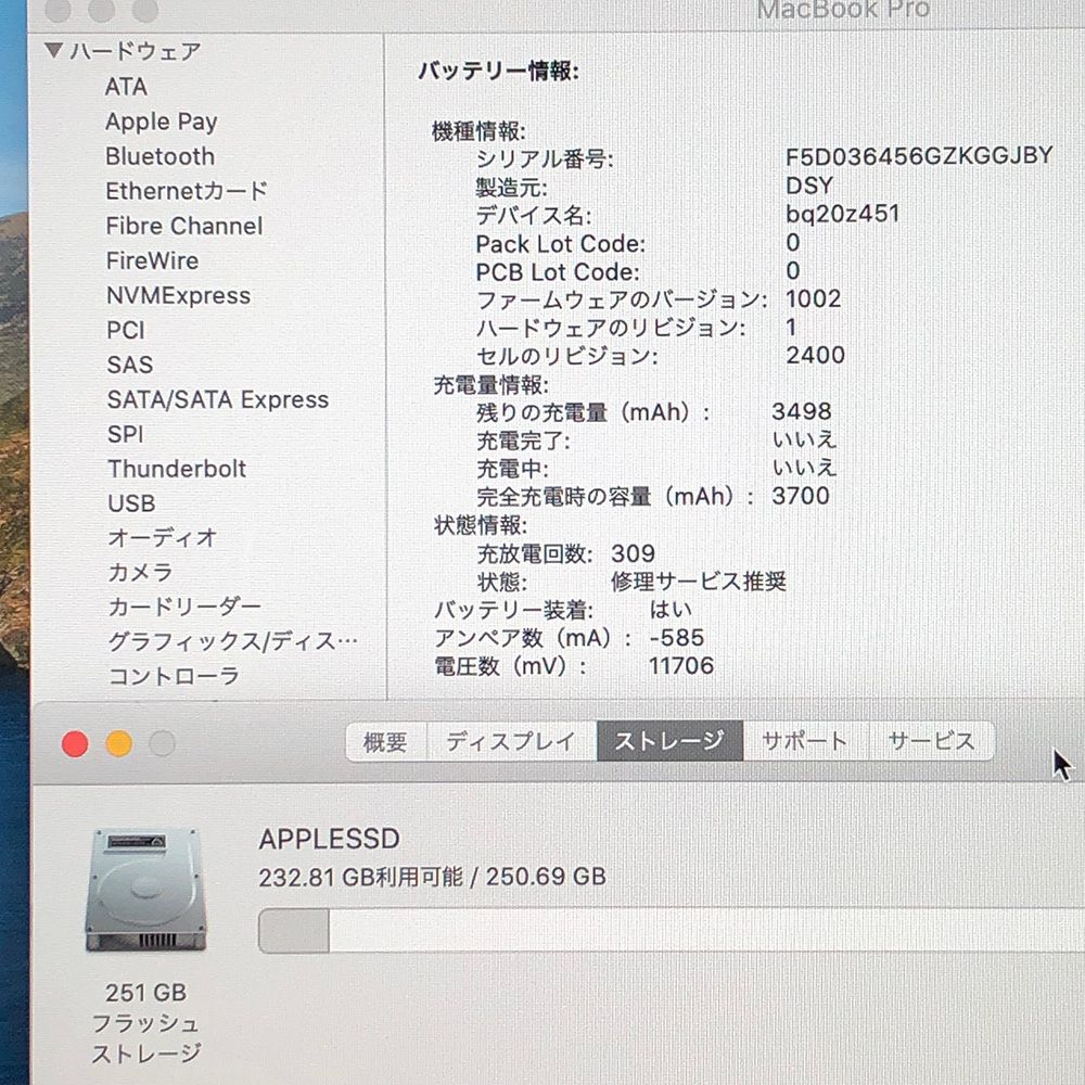 本体のみ◆Apple