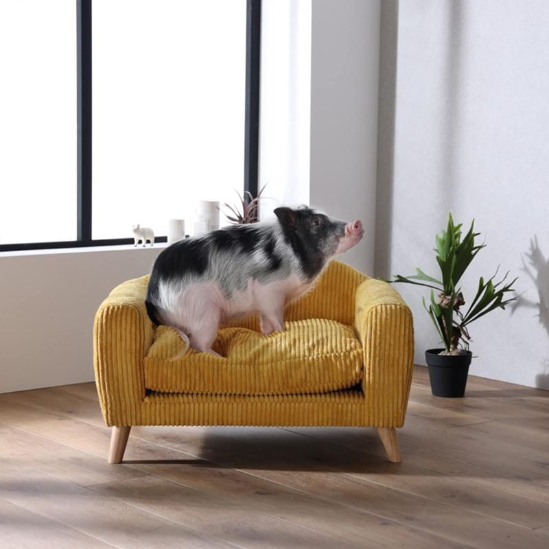 ソファ 犬用