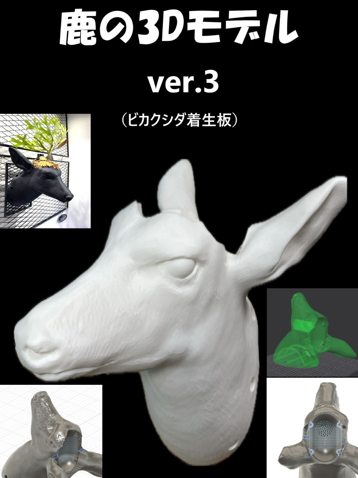 正規品オラクルカード】希少インディーズ✨人間と動物界を繋ぐ美しい