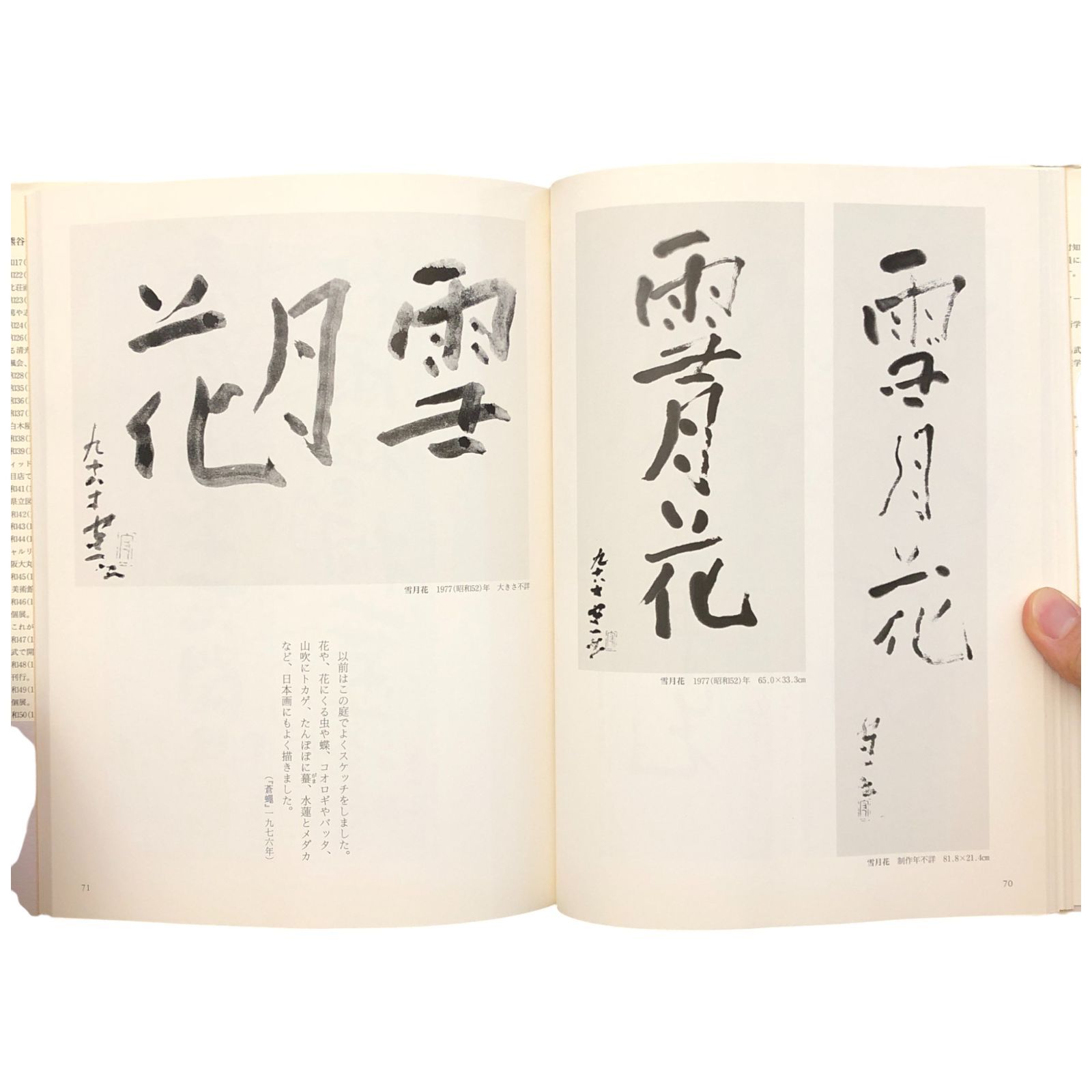 無一物 熊谷守一の書 熊谷守一 株式会社世界文化社 1997年1月10日 初版