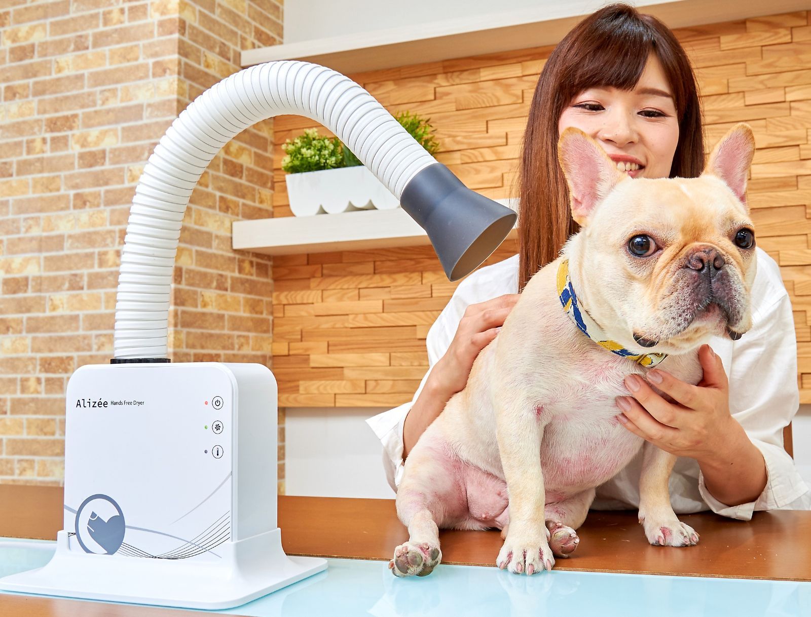 Alizee ドライヤー ハンズフリー ペット OFT】Alizee ペット用ハンズ