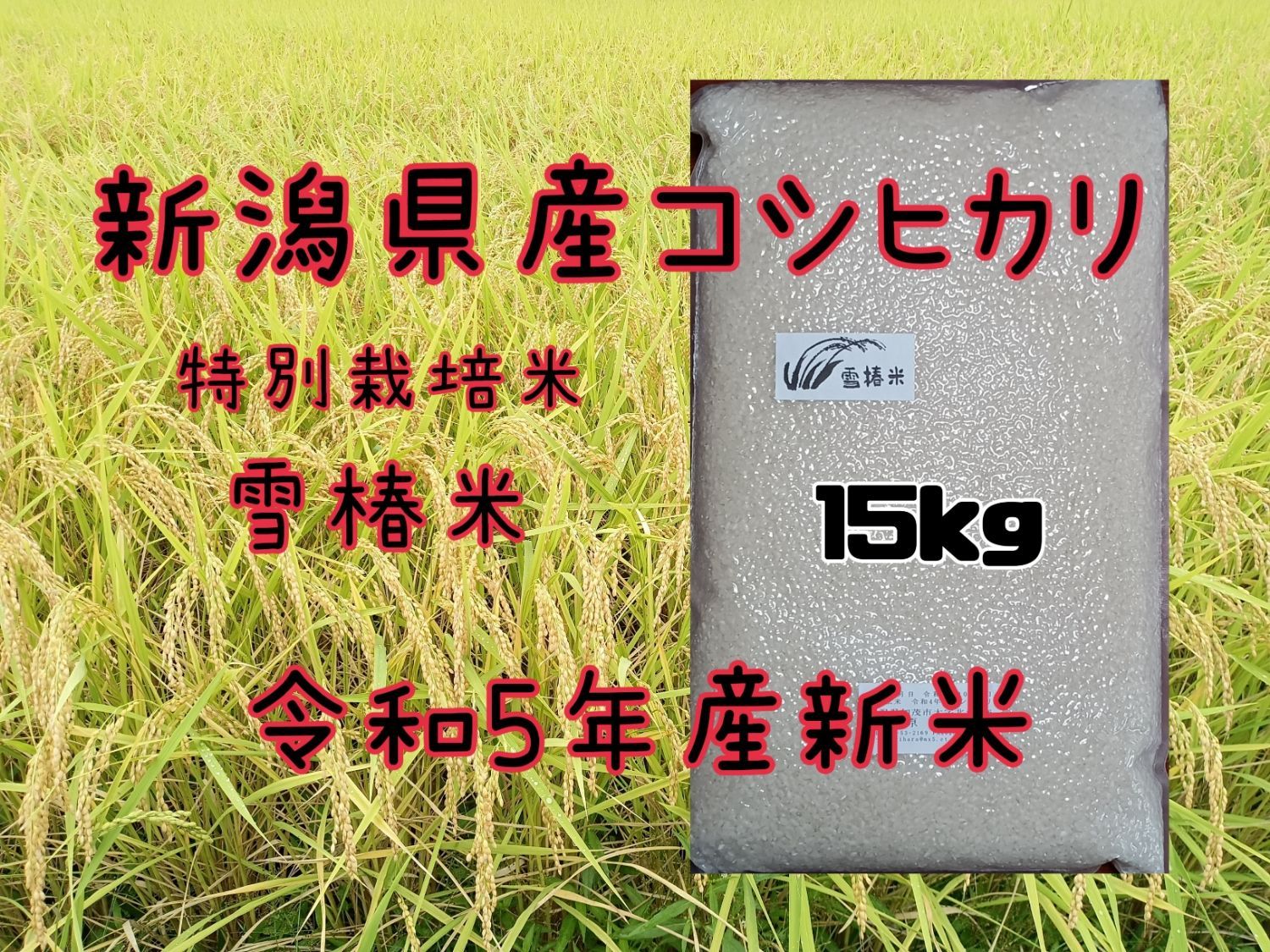 特別栽培米新潟県産コシヒカリ15k - メルカリ