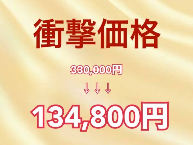 No.27 再入荷なし 人毛１００％ フルウイッグ
