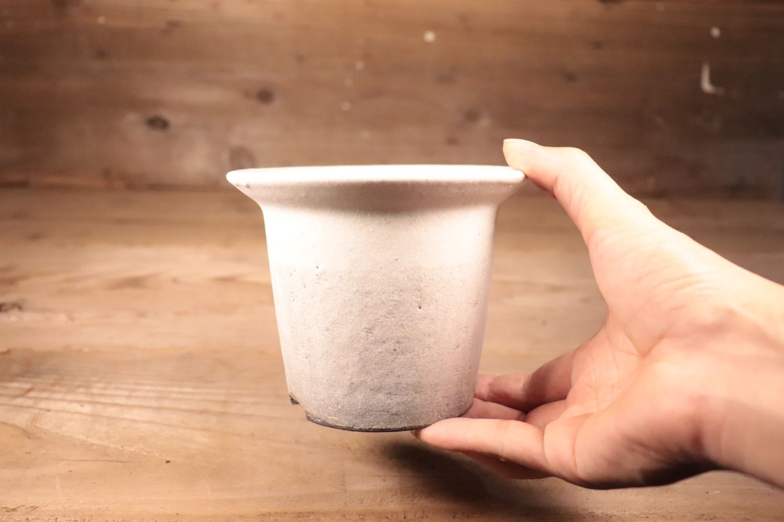 景山玄陶会 朧梅 B01 作家鉢 植木鉢 陶器 盆栽 塊根 アガベ グラキリス