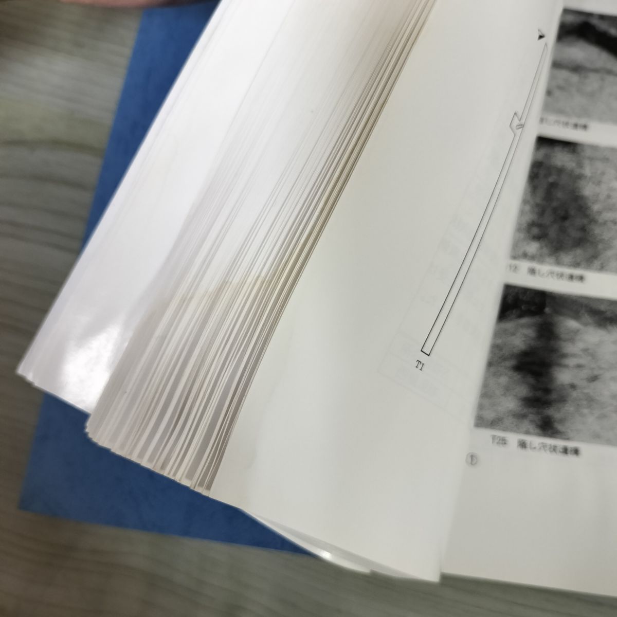 計3冊 河崎の柵擬定地発掘調査報告書 岩手県文化振興事業団埋蔵文化財センター 函入り 付図5枚+墓域図 付 210100 岩手県文化振興事業団埋蔵文化財調査報告書第423集 岩手県埋蔵