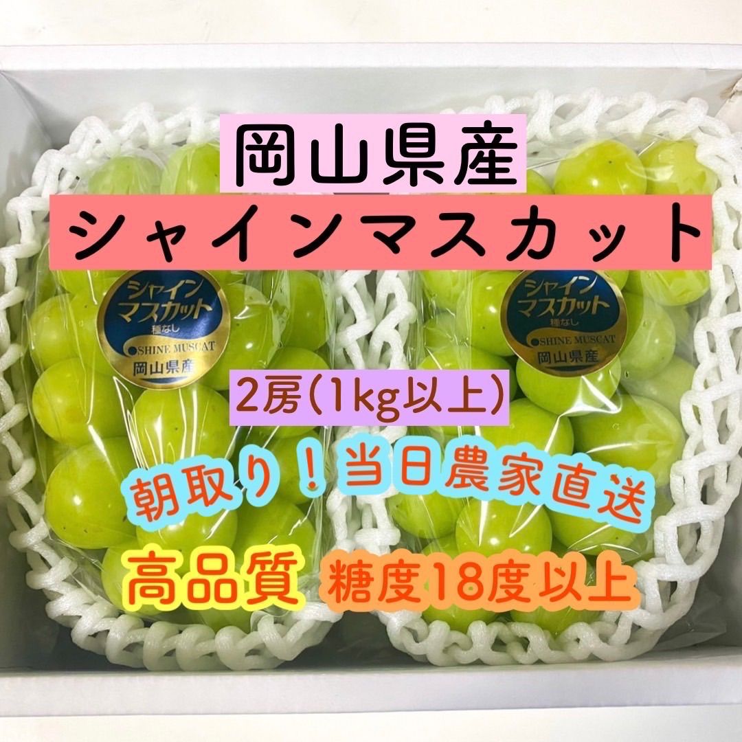 朝採り!岡山県産シャインマスカット2房（1kg以上） - 佐々木ぶどう農園