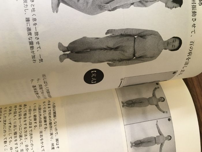 内功八段錦　気功太極拳入門　新渡戸道子 内功八段錦 : 気功太極拳入門(新渡戸道子 著) / 古本、中古本