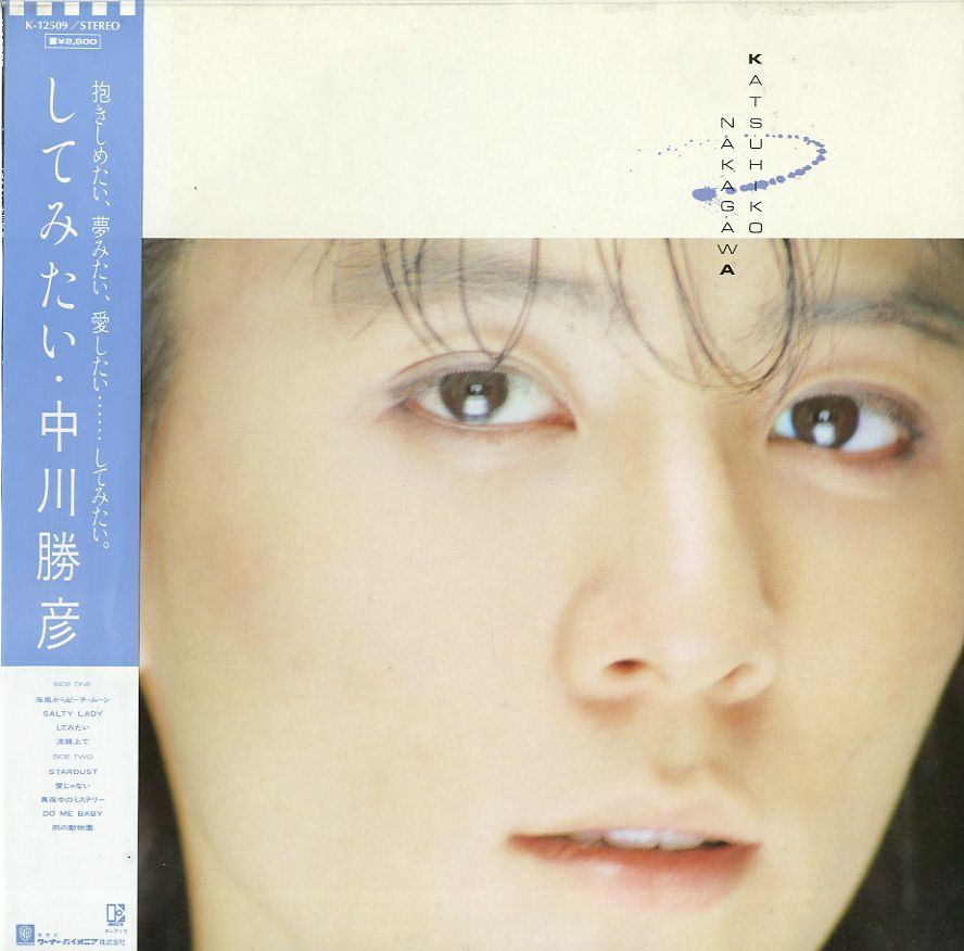 LP1枚 / 中川勝彦 / してみたい (1984年・K-12509・ニュー