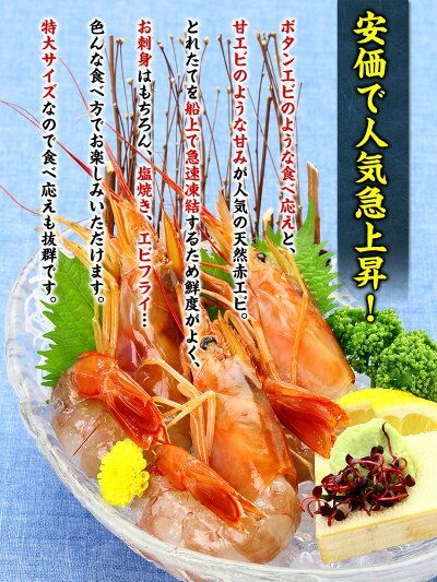 天然赤えび🦐 特盛2kg（大型サイズ） 約50尾前後 海老 エビ えび 【赤エビ】 【アカエビ】 【あかえび】 【甲羅組】冬ギフト