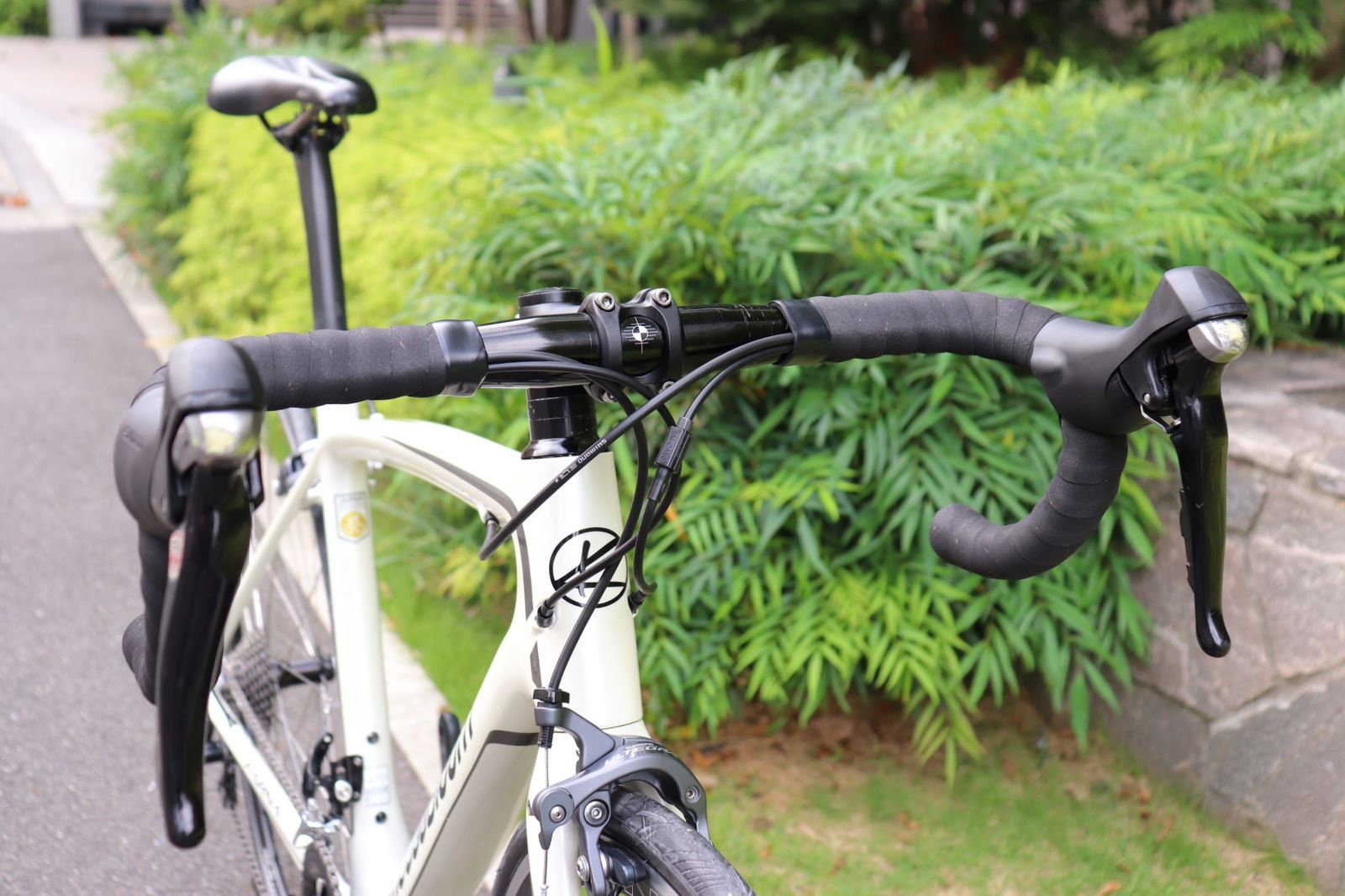 2015年 470サイズ