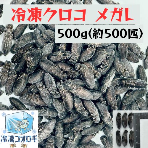 クロコML〜L500gフタホシML500gイエコML500gイエコM200g クロコML〜L500gフタホシML500gイエコML500gイエコM200g クロコML