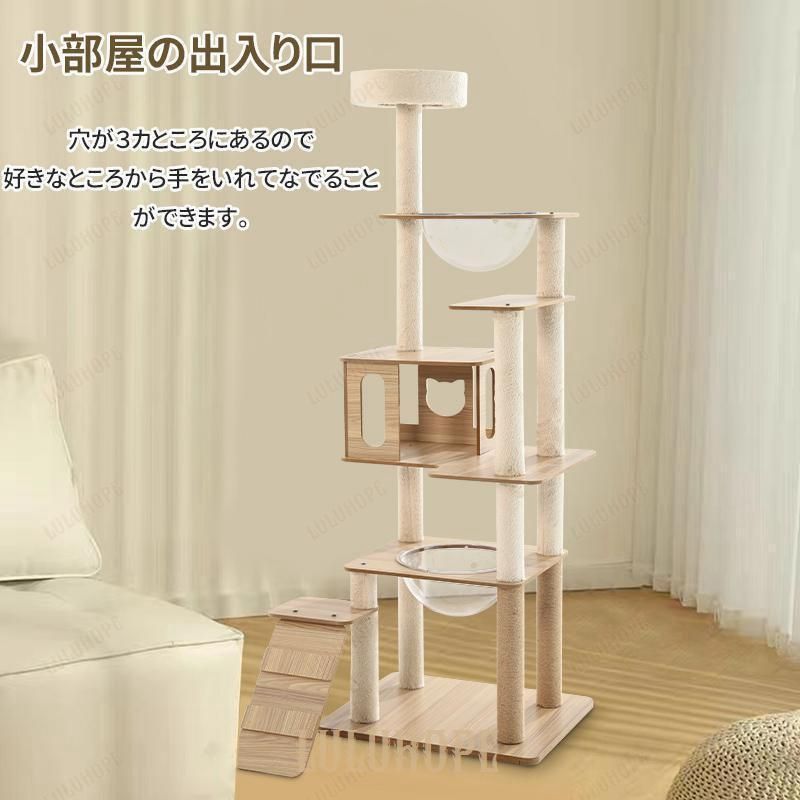 多頭飼い
