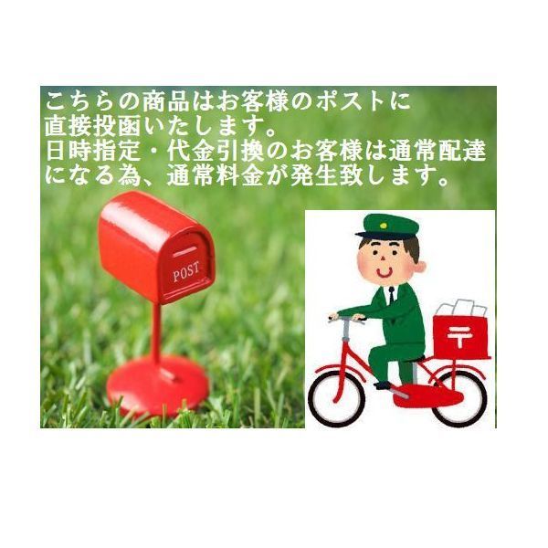 紳士
