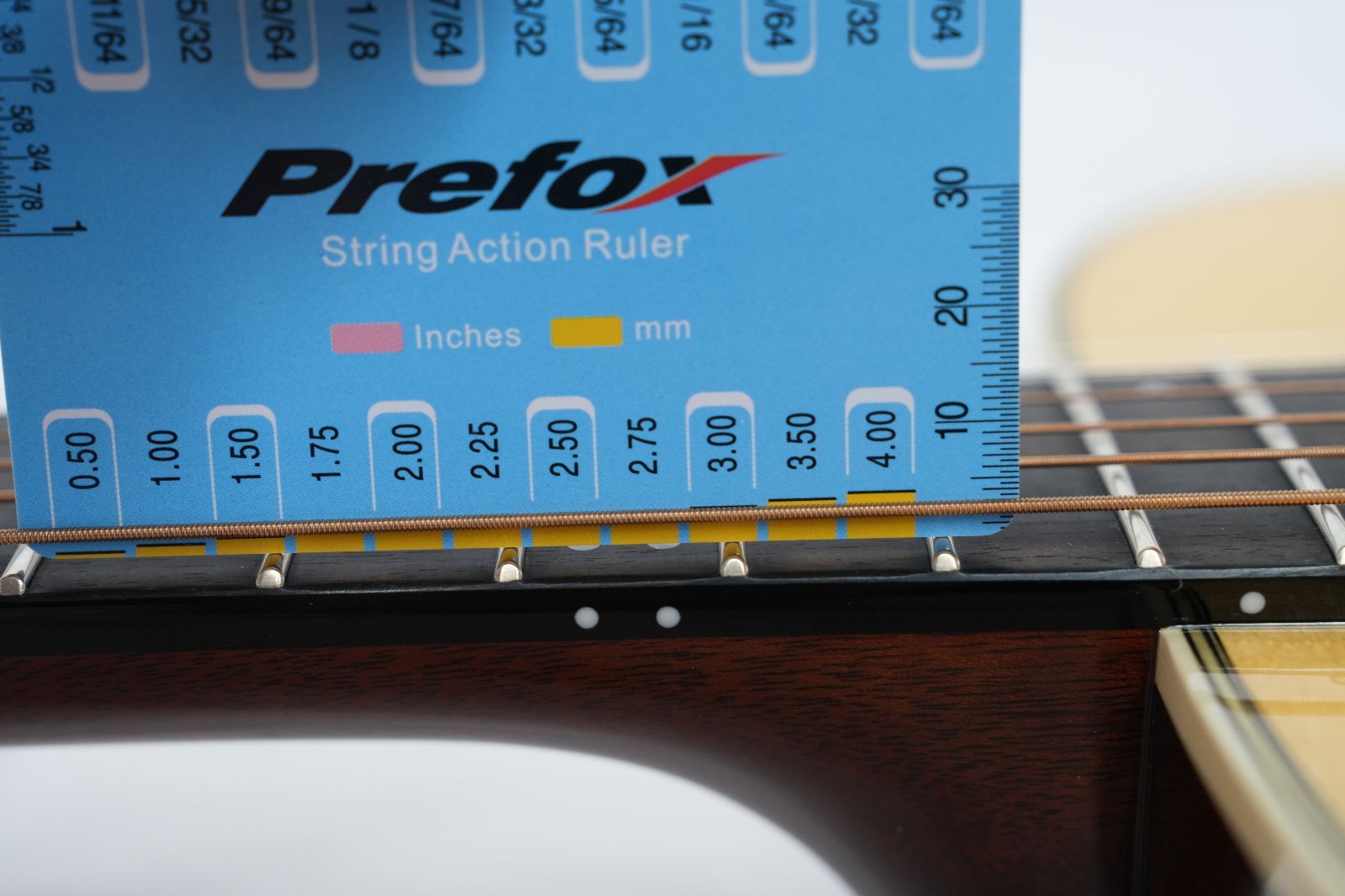 オール単板ギター 製