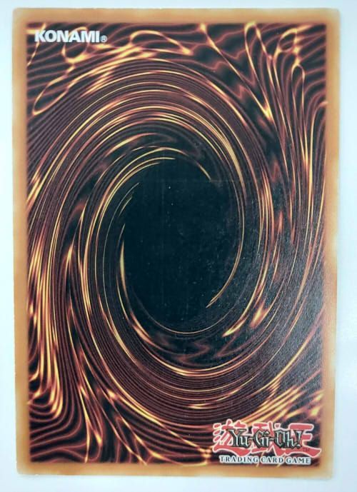 【ARS10】「ブラックマジシャン」英語版シークレット CT14 遊戯王 英語版 ブラック・マジシャン シークレット CT14-EN001