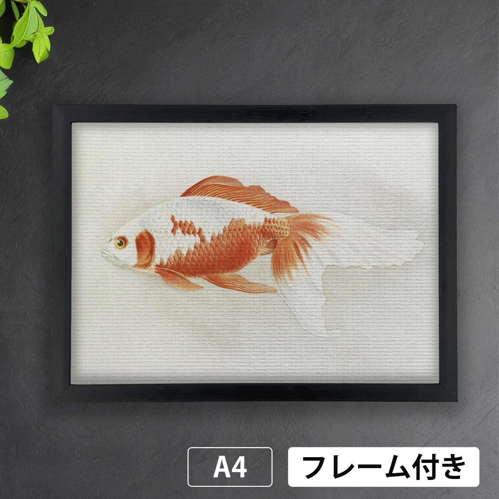 昭和レトロ刺繍絵、日本画 アート、木製 フレーム 金魚 金魚-ワトウナイ（The Watonai Fringetail） 1900年代初頭 生物
