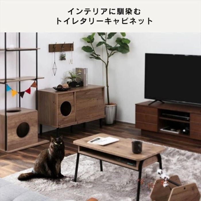 ✟ 5営業日で発送