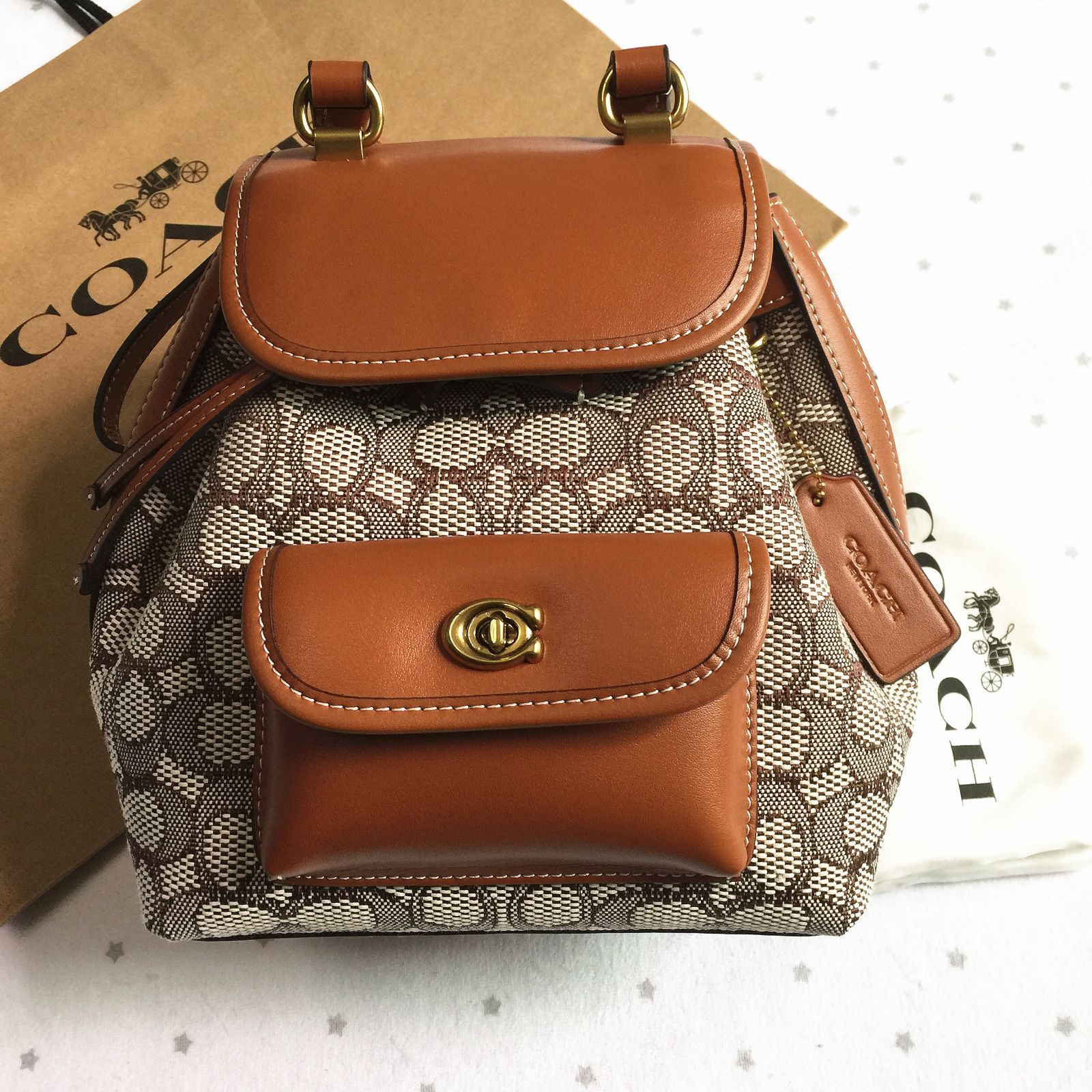 セール中】COACH コーチバッグ CH591 リア バックパック 21 