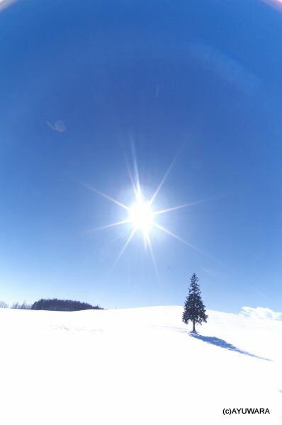 おしゃれ 壁掛け