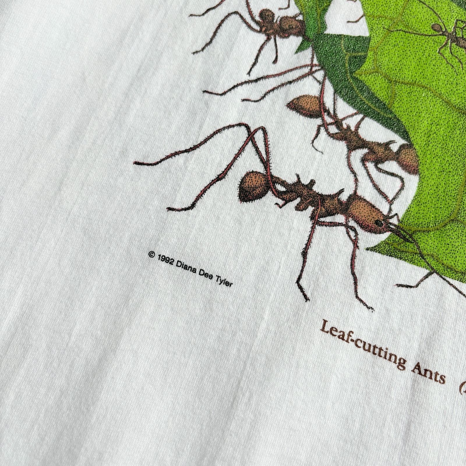 90~00s Diana Dee Tyler Leaf-cuting Ants Printed T-shirt D.D.