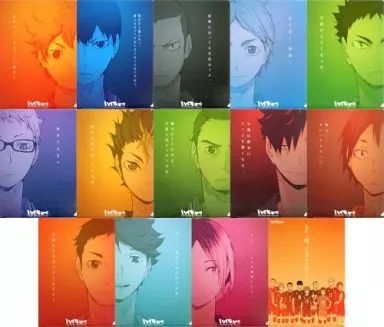クリアファイル 全14種セット ハイキュー!! スピリッツファイルコレクション