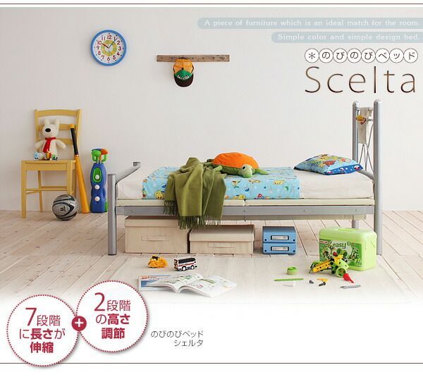 フレームのみ シルバー